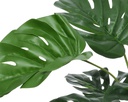 MONSTERA EN MACETA -  L60.00-W60.00-H66.00cm