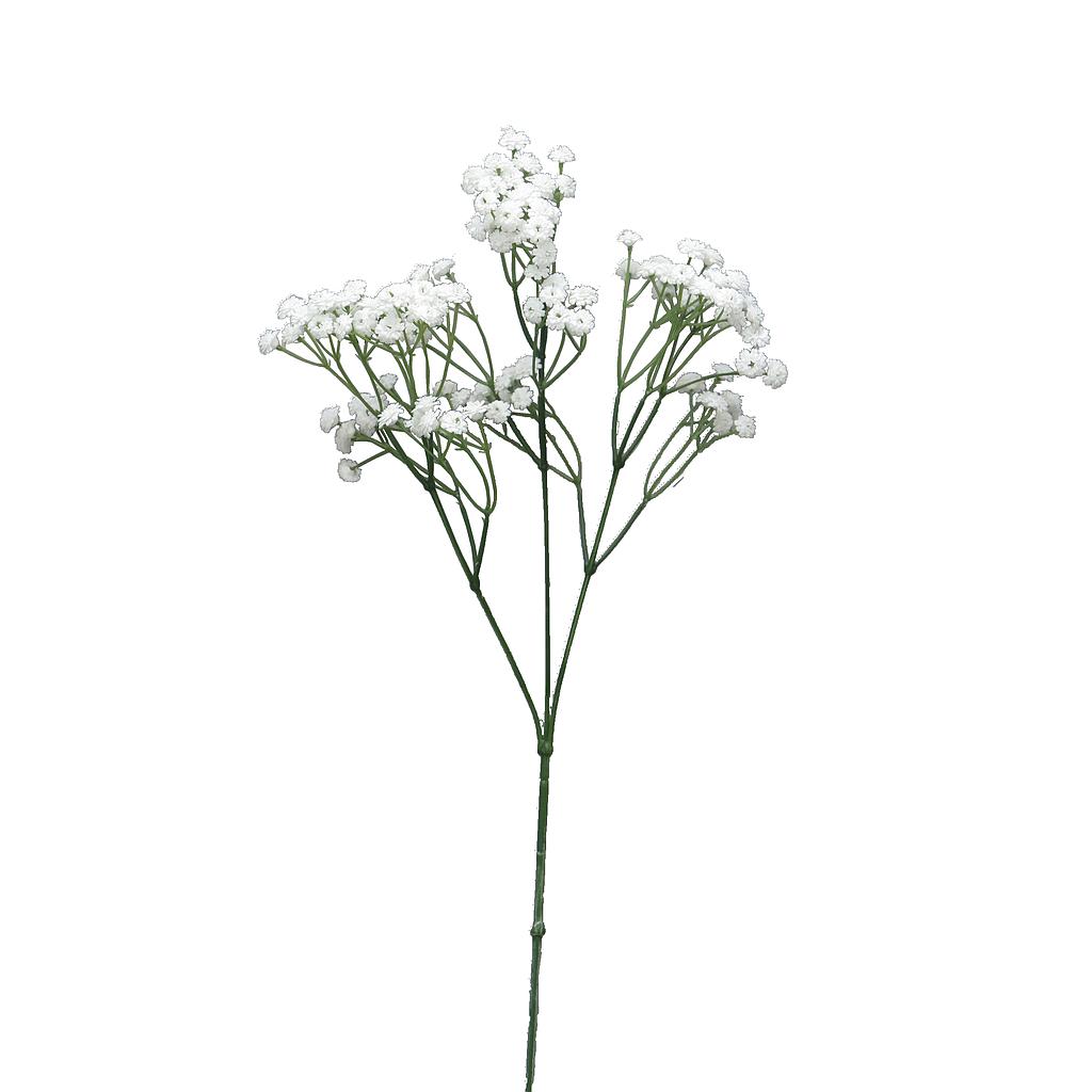 GYPSOPHILE BLANCHE PETITE. 66cm