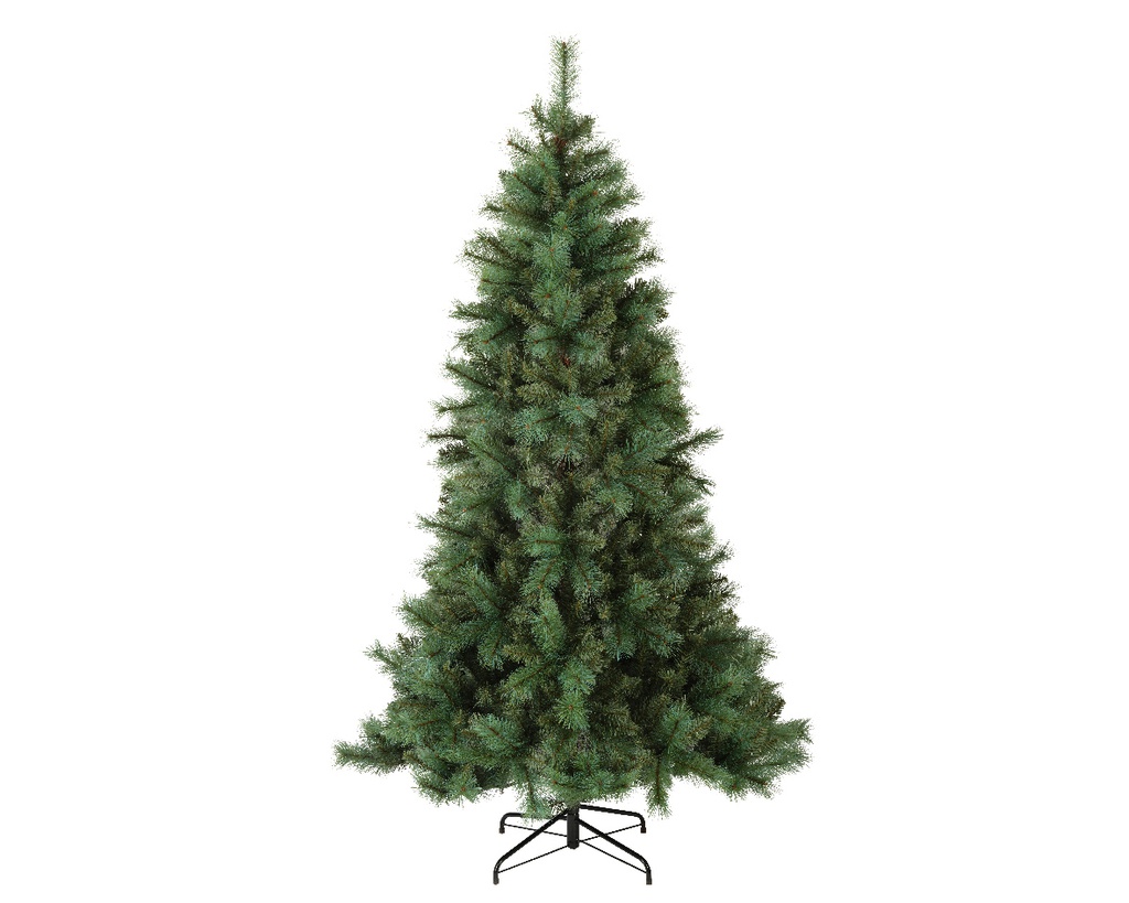 *** GRENOBLE SPRUCE 684077