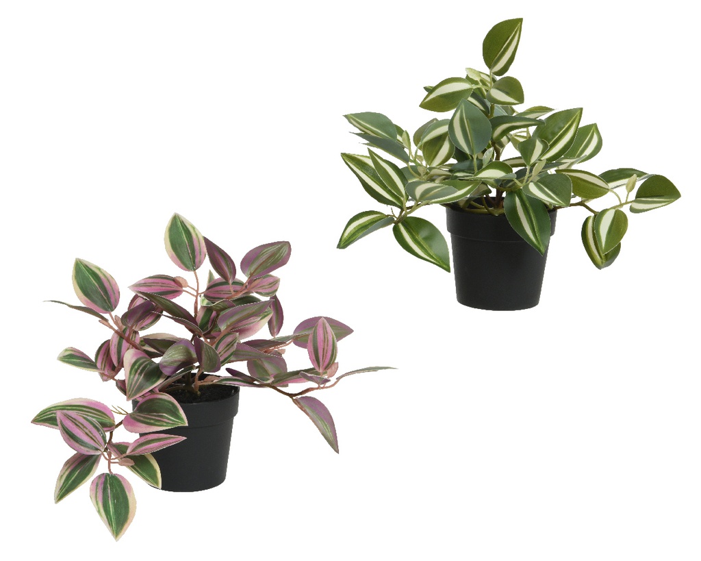 ***PLANT POLYESTER L23-W33-H20cm