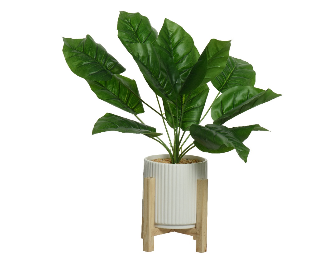 PLANTA EN MACETA BLANCA SOBRE PATAS - L16-W16-H45.50CM