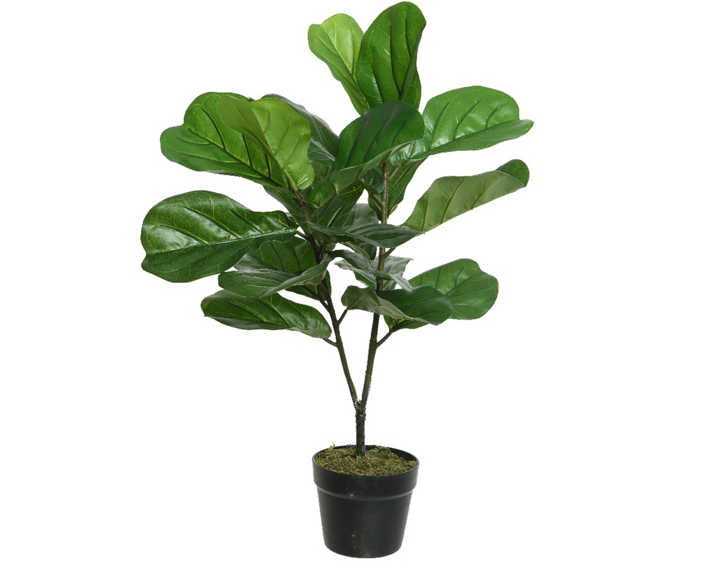 ***FIG TREE PLASTIC L50-W50-H71cm