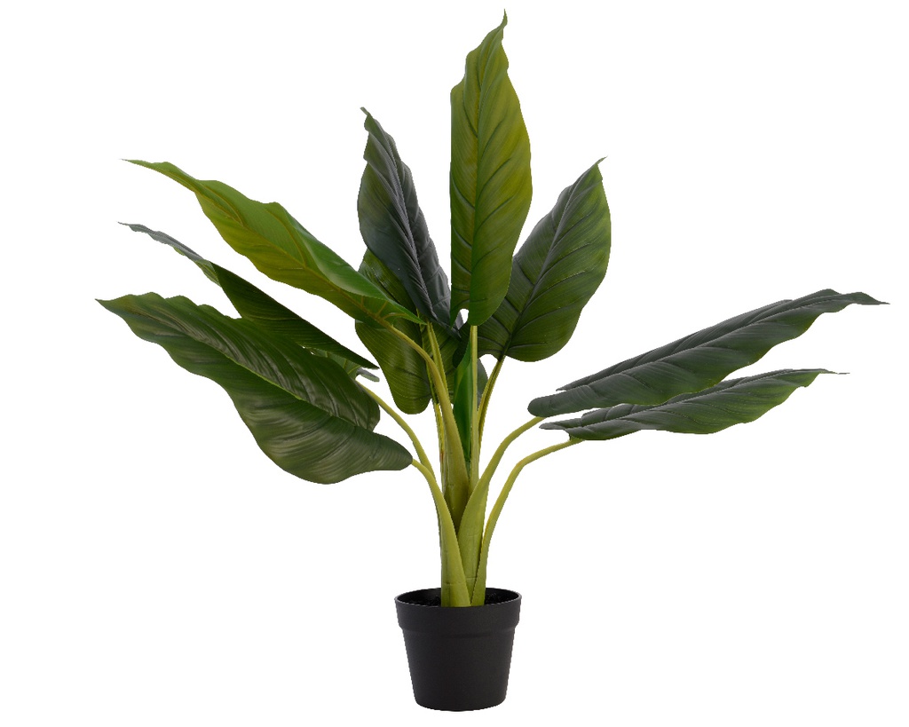 ***STRELITZIA POLYESTER L75-W75-H80cm