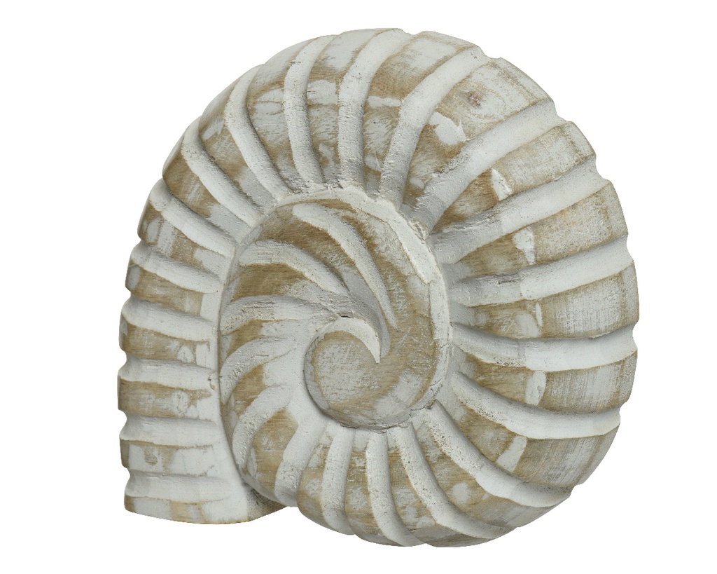 ***SHELL MANGOWOOD L17-W14-H4cm