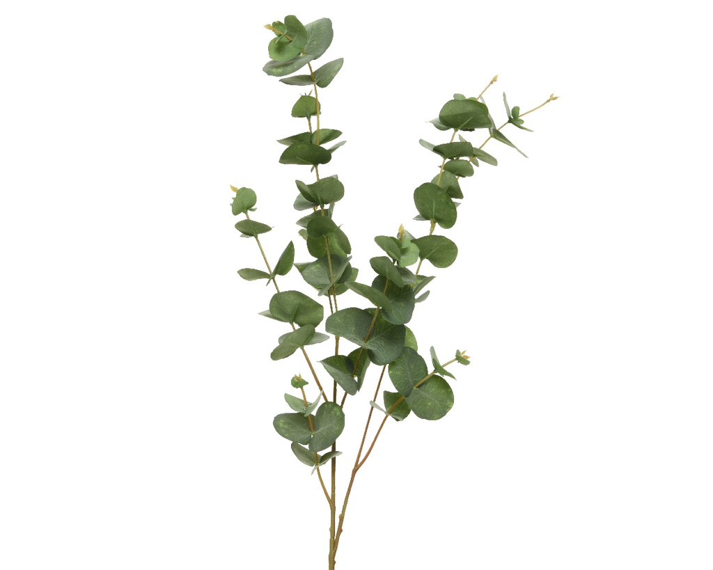 BRANCHE EUCALYPTUS  VERTE - L33.00-W8.00-H98.00cm