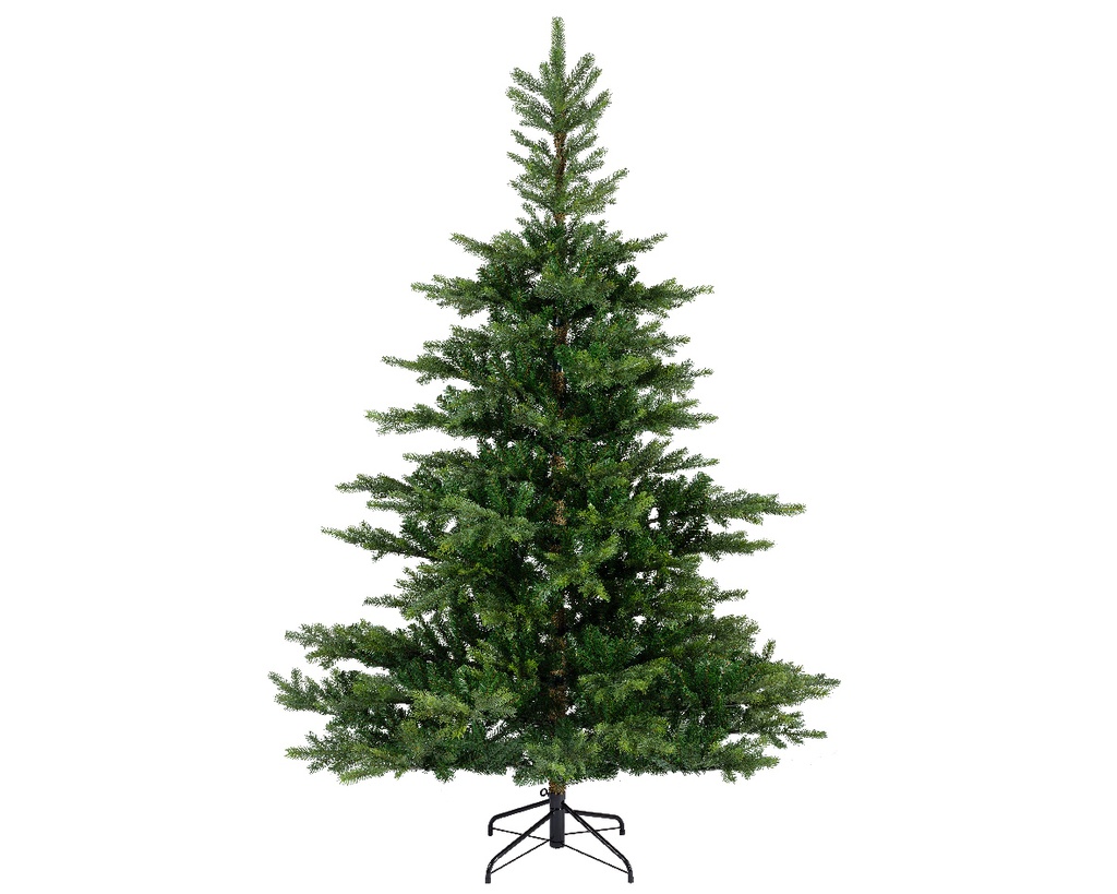 GRANDIS FIR DIA132-H180CM