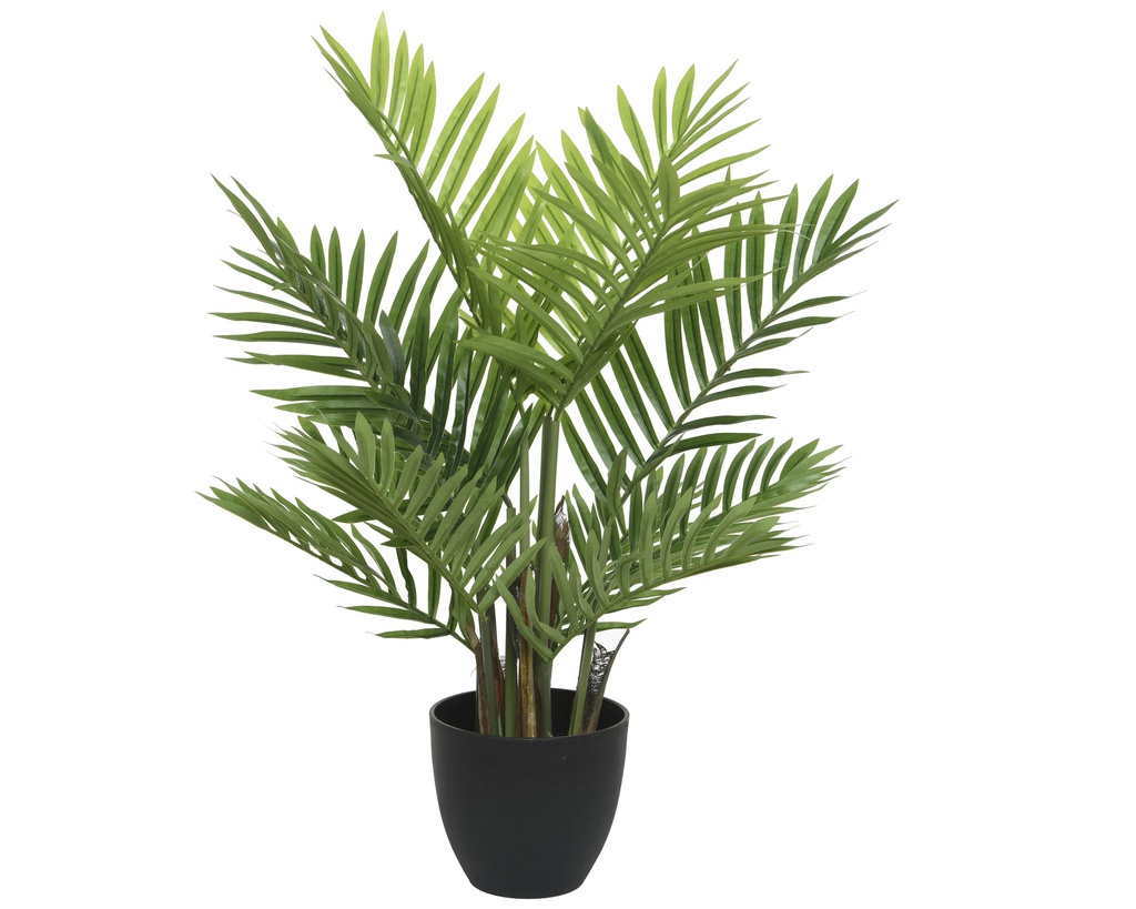 ***PALMTREE PLASTIC GREEN L61.00-W61.00-H73.00cm