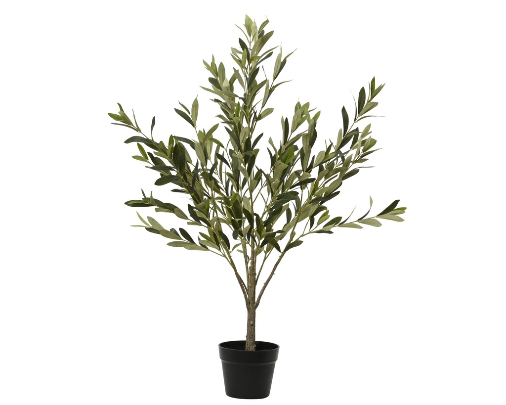 ***OLIVE TREE PE GREEN dia50.00-H100.00cm