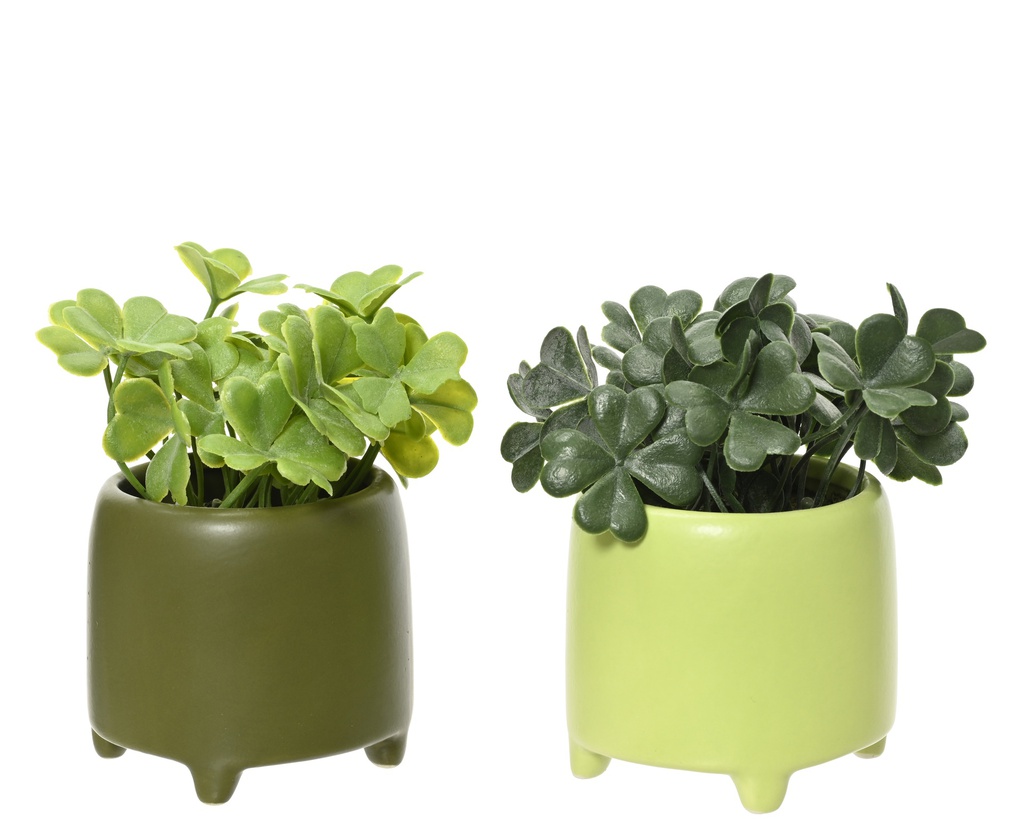 ***PLANT PE, CERAMIC GREEN dia7.00-H13.00cm