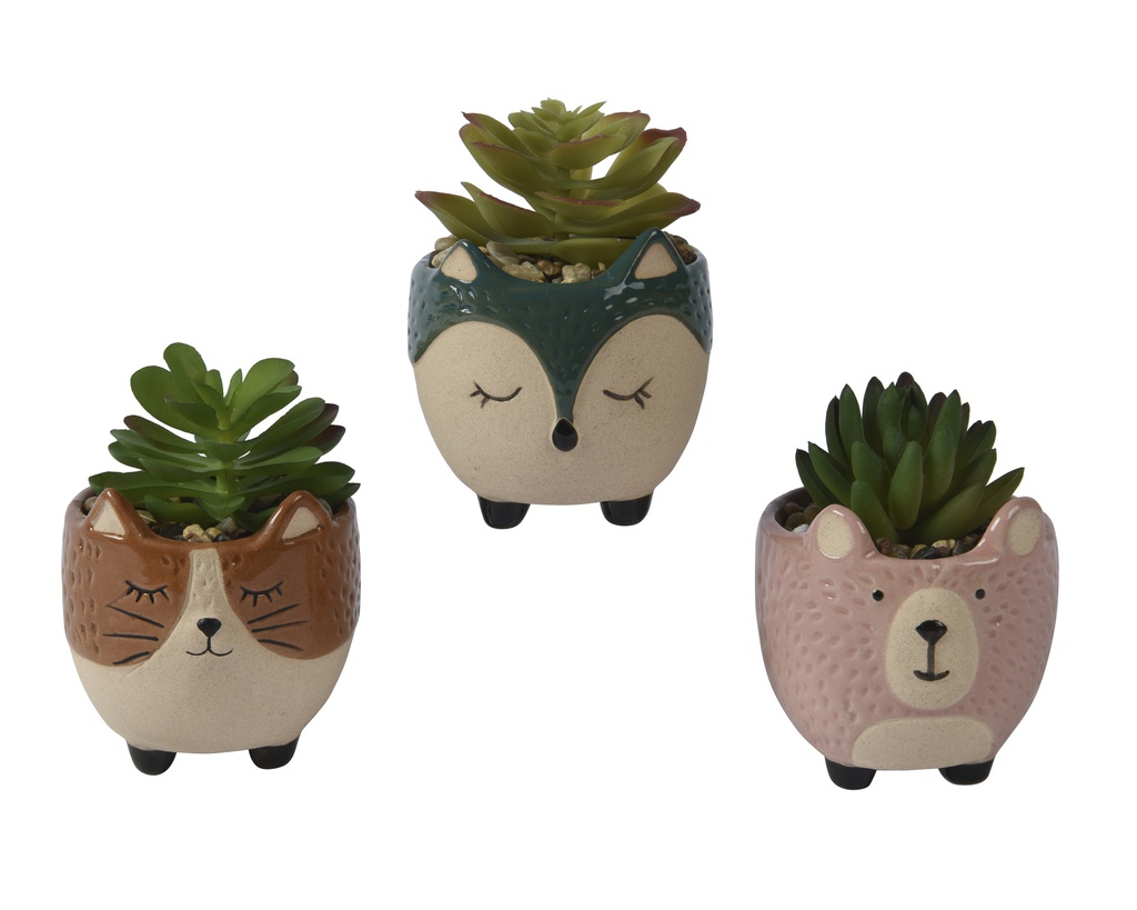 PLANTA CRASA EN MACETA CERAMICA - FORMA ANIMAL - 3 SURTIDOS - PRECIO UNIDAD dia7.50-L7.80-W7.80-H9.00cm