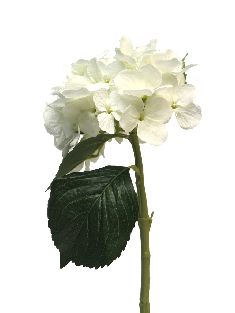 (Best) HYDRANGEA ARTISTE - BLANC - 48cm