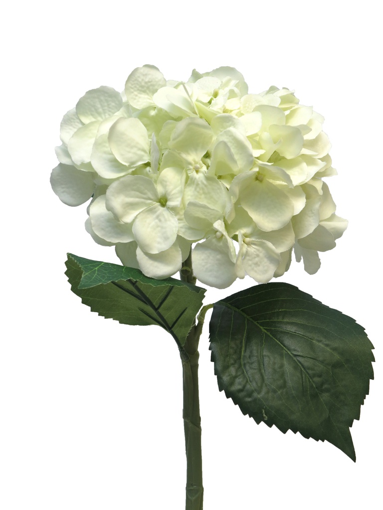 (Best) HYDRANGEA ARTISTE - CREME - 48cm