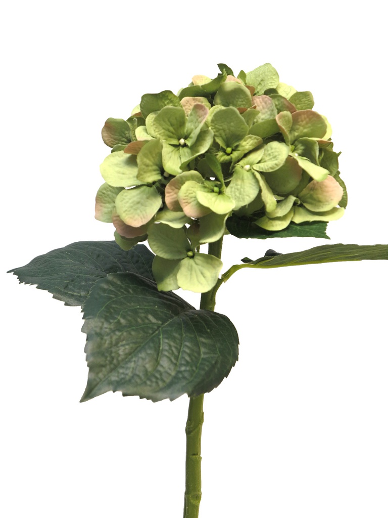 (Best) HYDRANGEA ARTISTE - VERT - 48cm