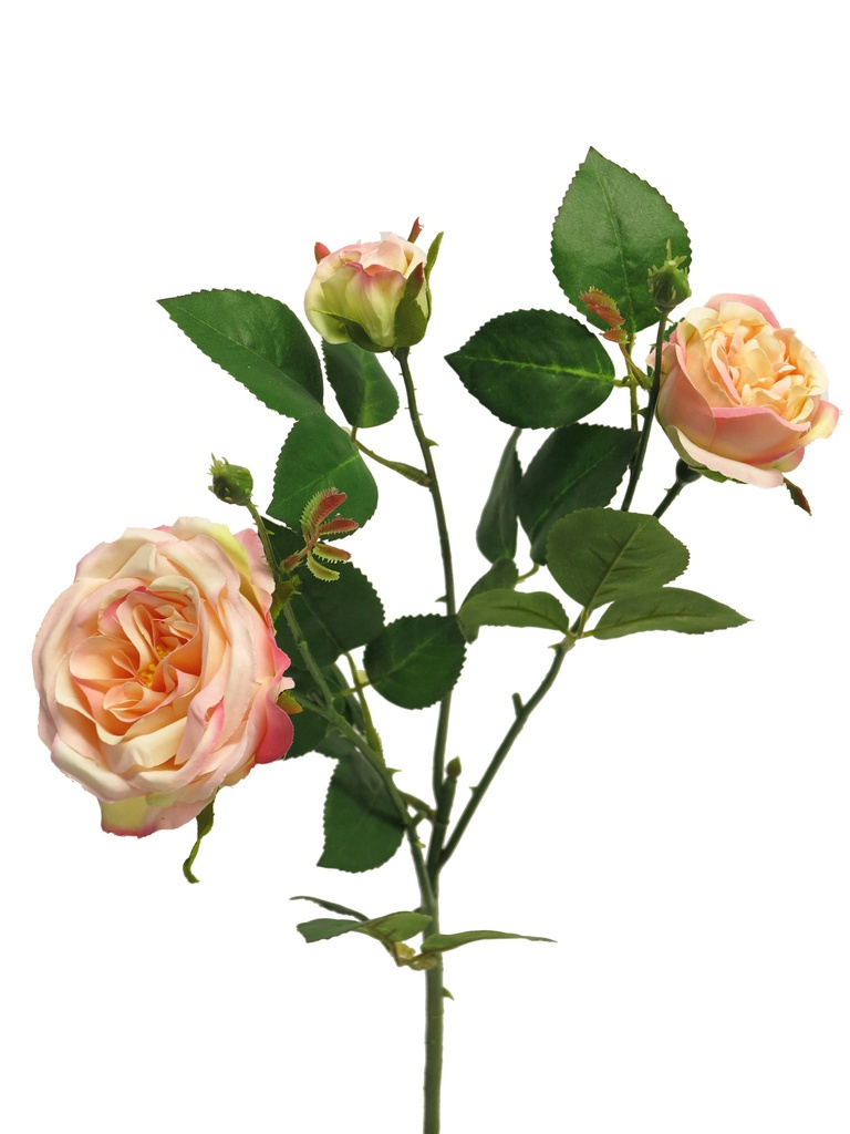 (Best) Italian rose spray x3 peach 61cm