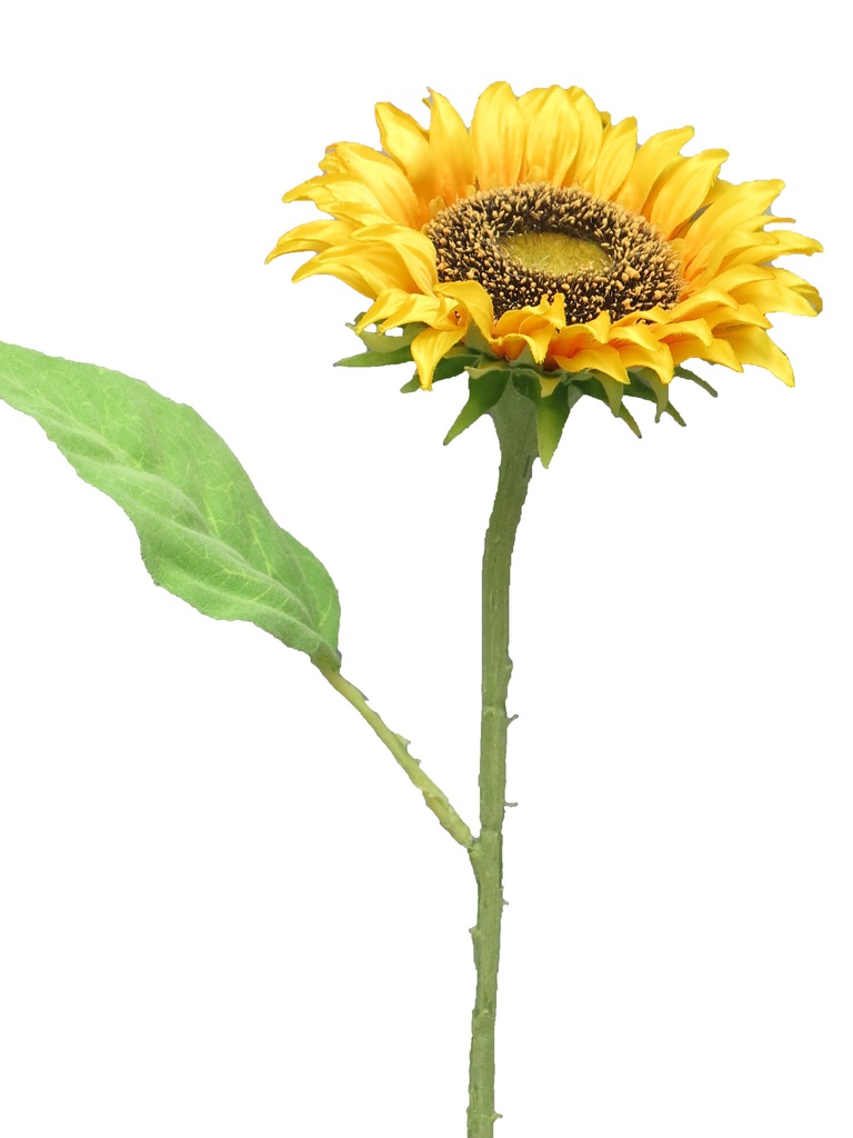 (Best) TOURNESOL - JAUNE TOSCANE - TAILLE S - 42cm