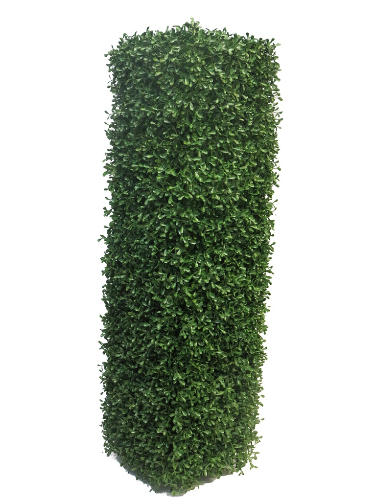 (Best) Box Princeville Hedge 30x30x100cm (6 months UV-protec