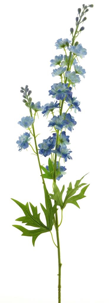 (Best) DELPHINIUM FINLANDAIS - BLEU VAPORISE - 85cm 12908