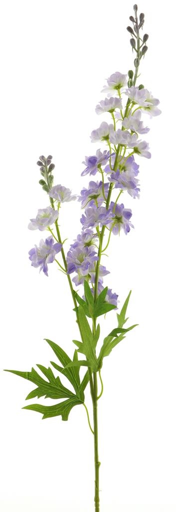 (Best) DELPHINIUM FINLANDAIS - VIOLET VAPORISE - 85cm 12908