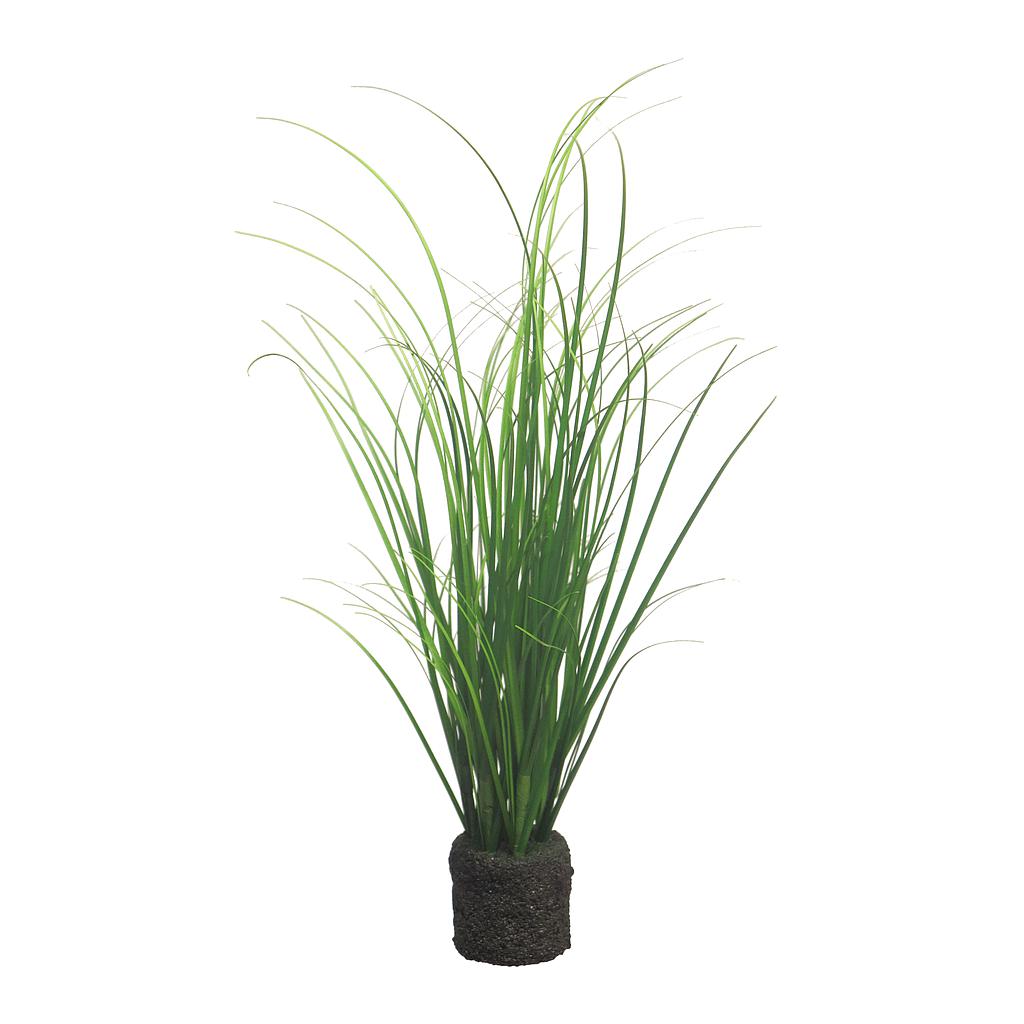 HERBE À CURRY AVEC UNE BASE - VERTE - 37CM