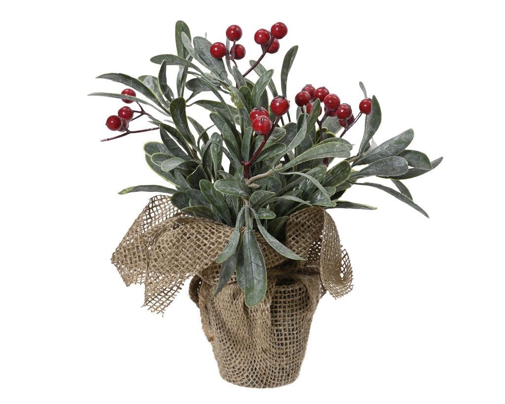 PLANTE DE NOEL - VERT ET ROUGE - dia18.00-H23.00cm