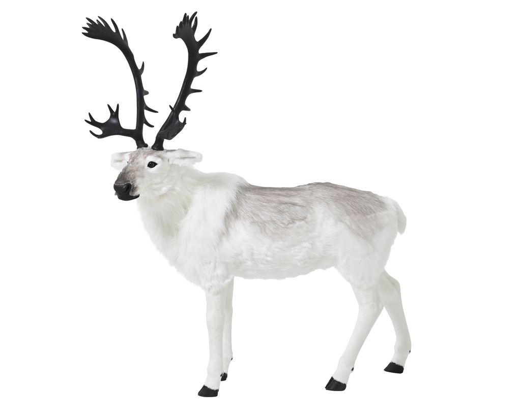 CERF EN PLASTIQUE - BLANC - L150.00-W56.00-H177.00cm