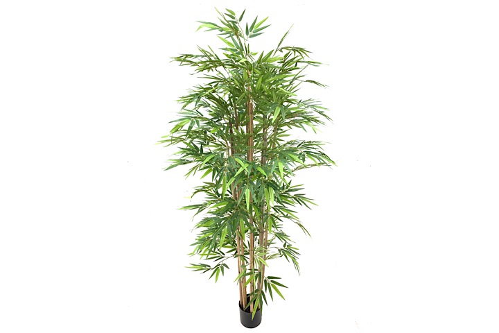 ***170 CM BAMBOO TREE 1120LVS