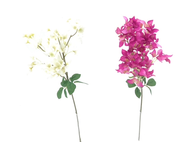 ***83CM BOUGAINVILLEA STEM