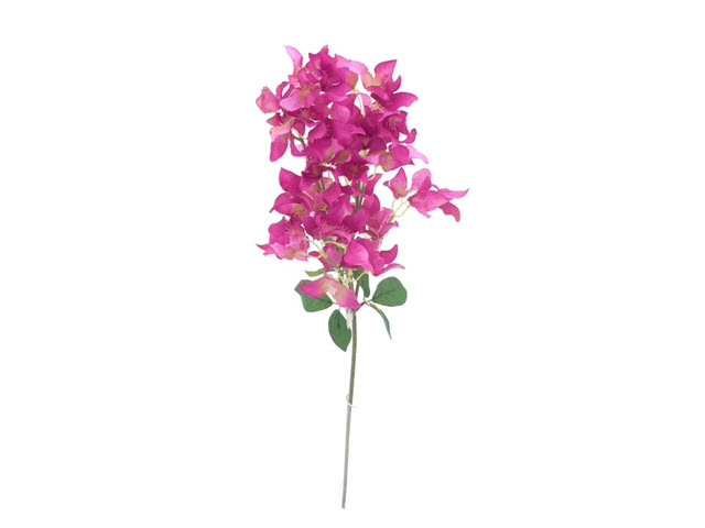 ***83CM BOUGAINVILLEA STEM