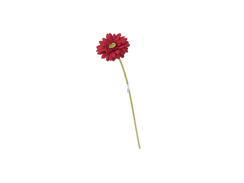 ***61CM SINGLE GERBERA