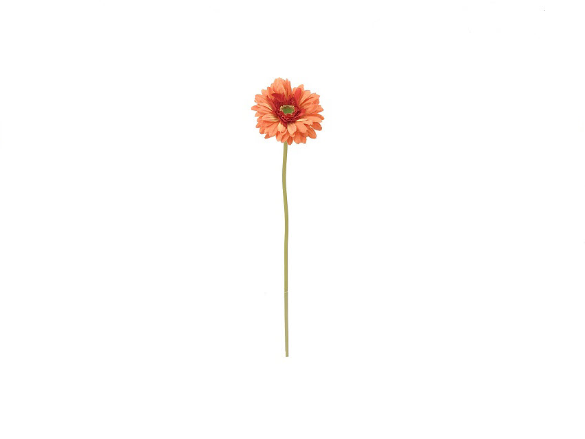 ***61CM SINGLE GERBERA