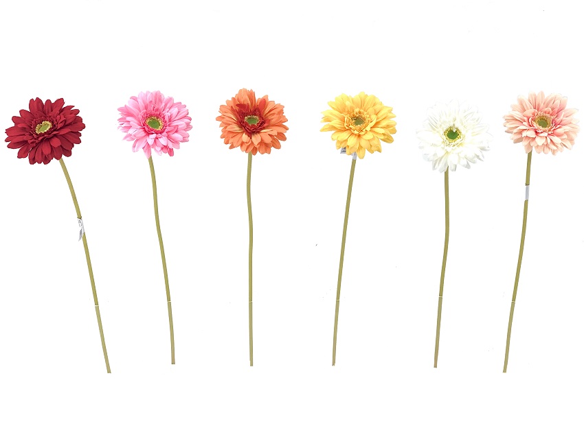 GERBERA INDIVIDUAL BLANCO ROSADO - 61CM