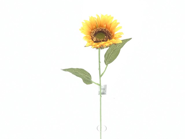 ***SINGLE SUNFLOWER