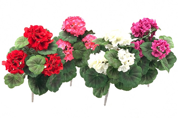 ***15&quot; GERANIUM BUSH