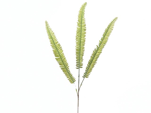 ***86CM FERN SPRAY