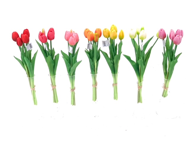 ***41CM TULIP BUNDLE X 5