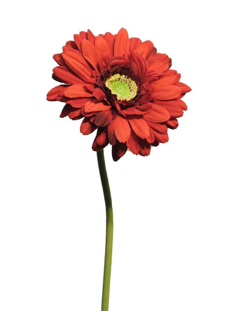 (Best) Gerbera Nice red 48cm