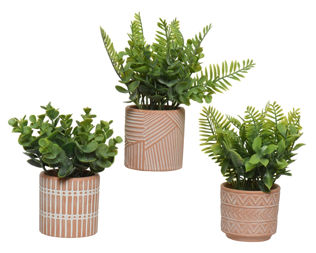 ***PLANT PE GREEN/COLOUR(S) L7.50-W7.50-H18.00cm