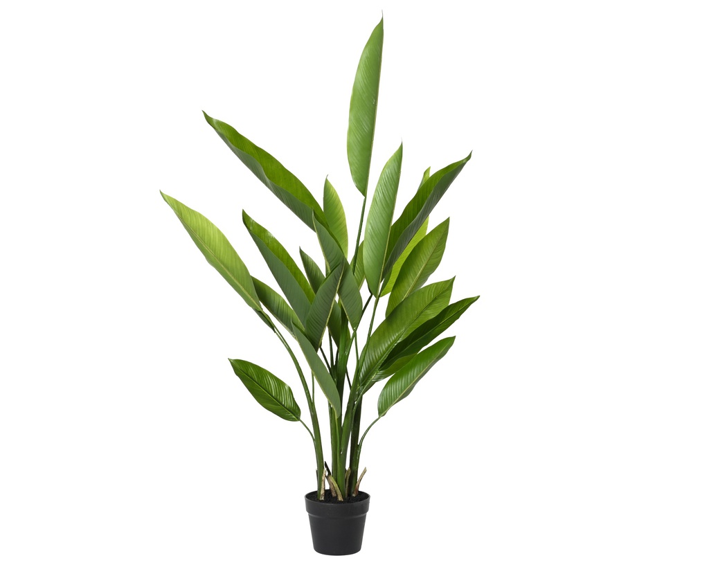 ***PLANT PE GREEN dia60.00-H110.00cm