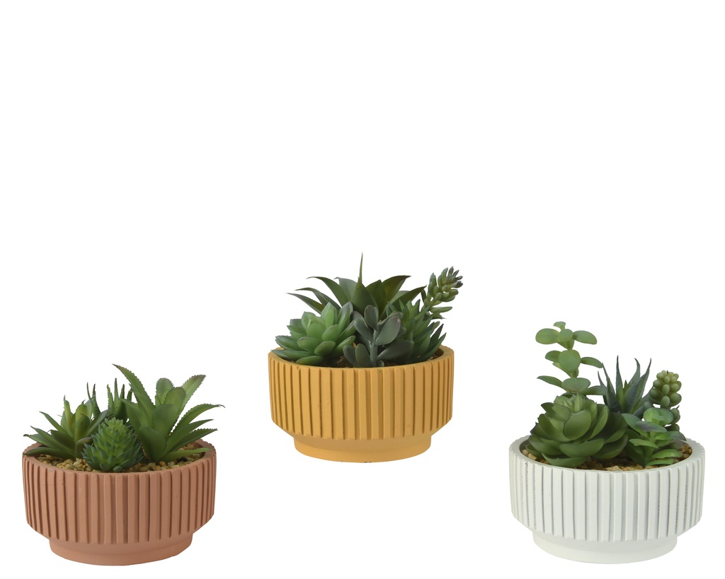 ***SUCCULENT PE ASSORTED dia12.50-H13.00cm