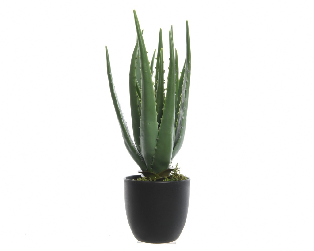 ALOE VERA EN MACETA - 25X35CM - MUY REAL Y DECORATIVO- IDEAL PARA PATIO Y TERRAZA