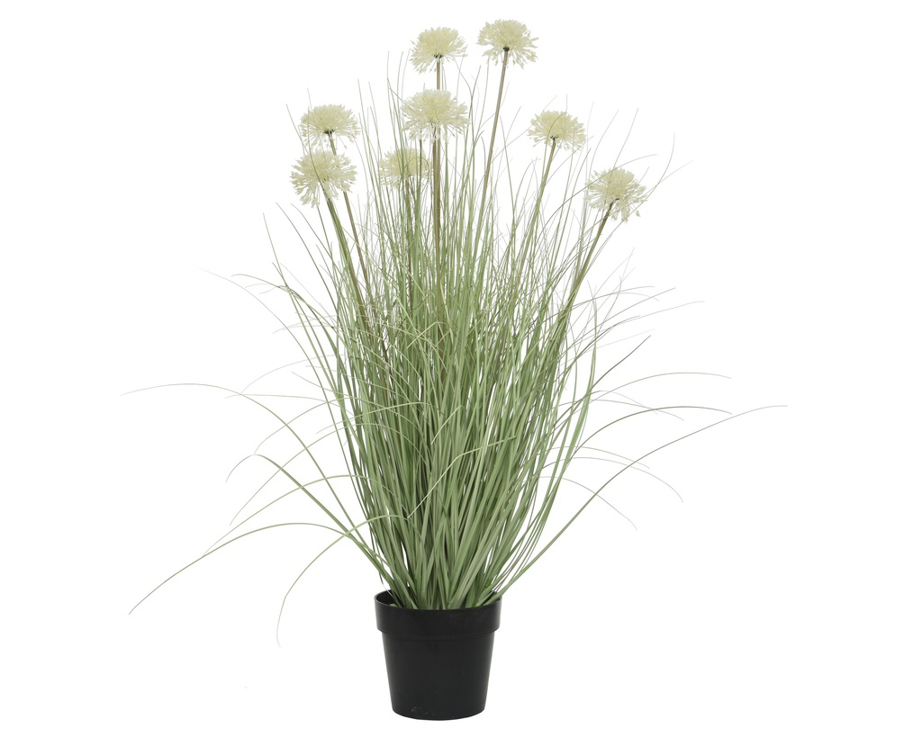 HIERBA C/FLOR ALLIUM D65X105CM