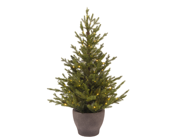 SAPIN DE NORVÈGE AVEC POT - MICROLED - 80 LED - CAL/BAT/8F/6H/EXT