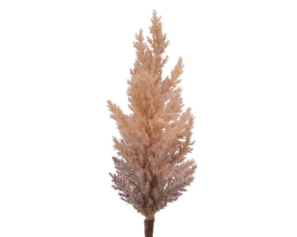 PAMPAS GRASS PLASTIC DIA9-H90CM