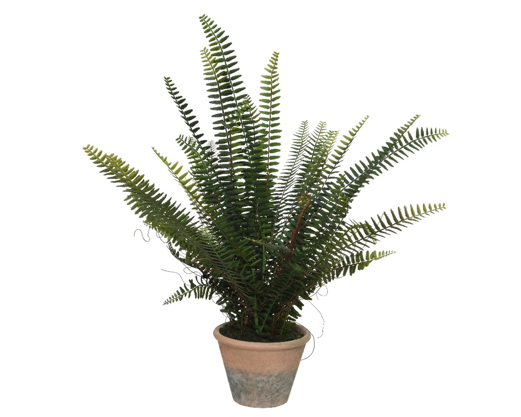 FERN PLASTIC DIA60-H60CM