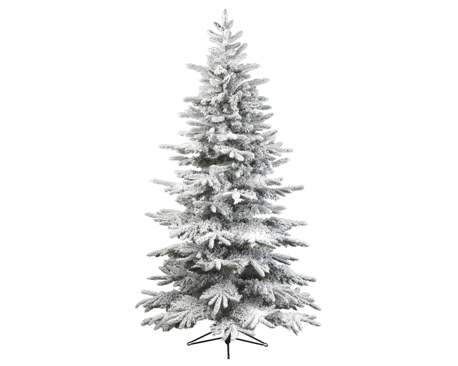 ALASKAN FIR SNOWY DIA142-H240CM