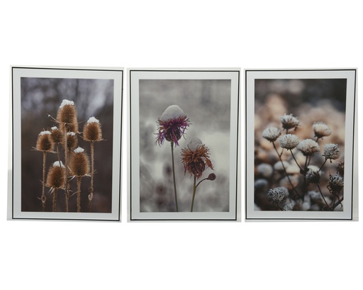 CADRE AVEC PHOTO FLEUR NATURELLE - 50X70CM - 3 PHOTOS DIFFÉRENTES - PRIX À L' UNITÉ