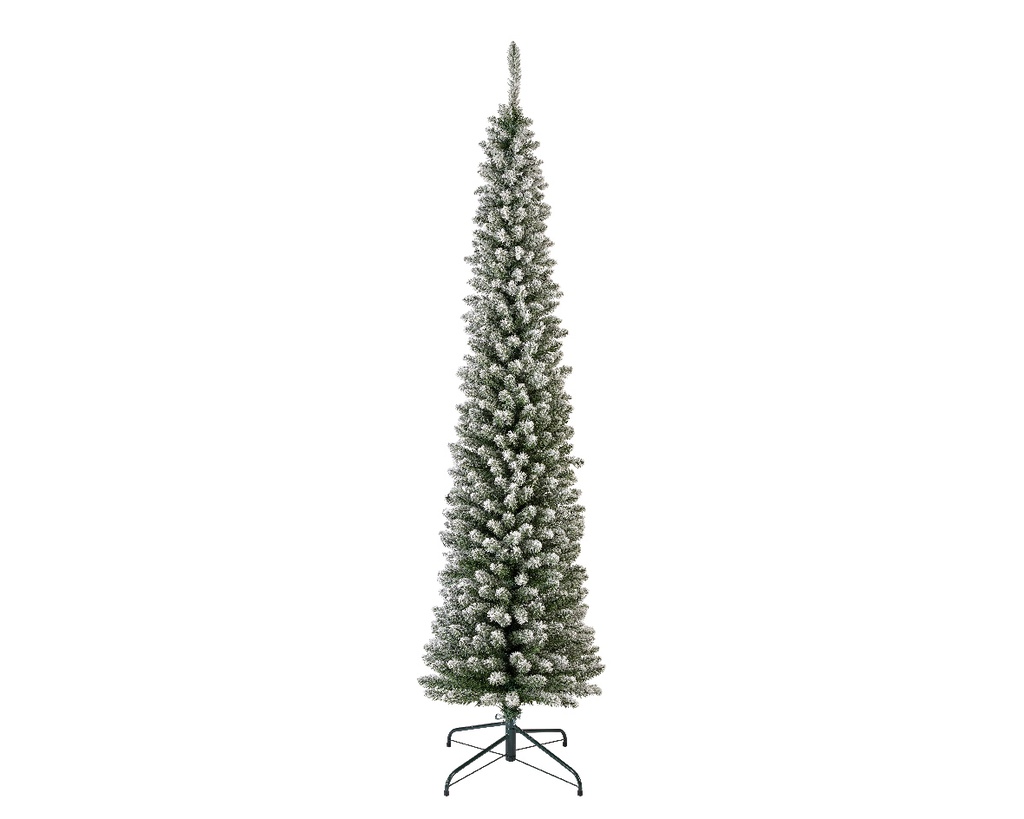 SNOWY PENCIL PINE  DIA70-H240CM