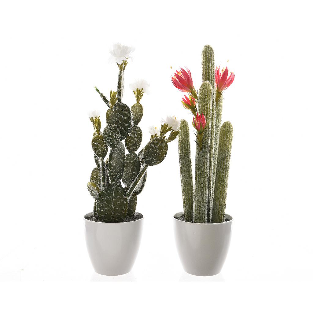 CACTUS FLOR MACETA 62CM 2SURT UD