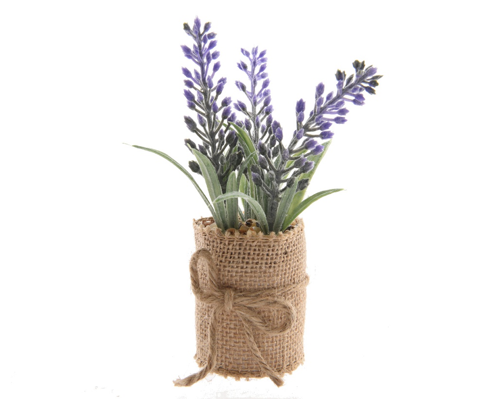 MINIPLANTA DE LAVANDA EN MACETA YUTE 12CM