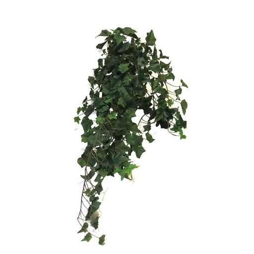 (Best) Ivy Chicago hanger XL green 100cm (259 lvs)